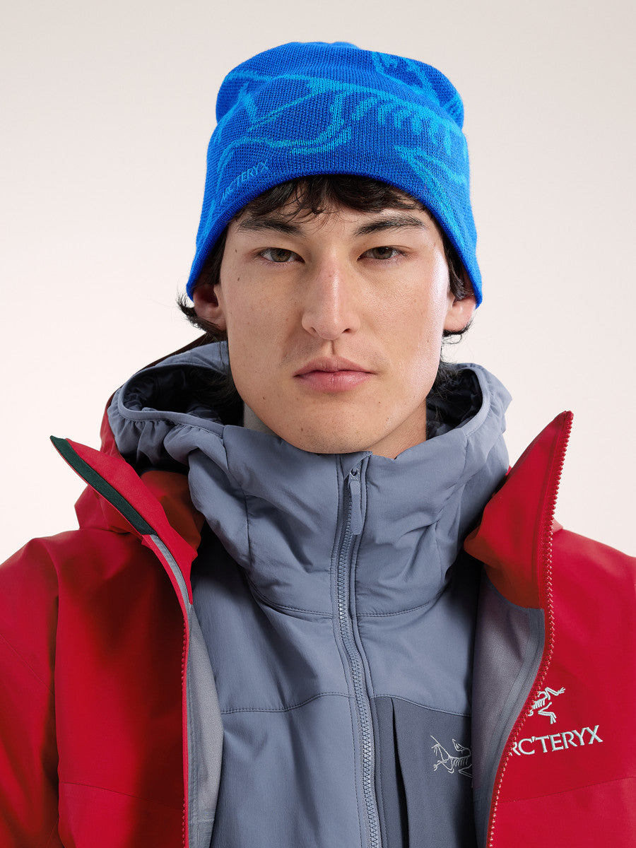 Arcteryx Bird Head Beanie
