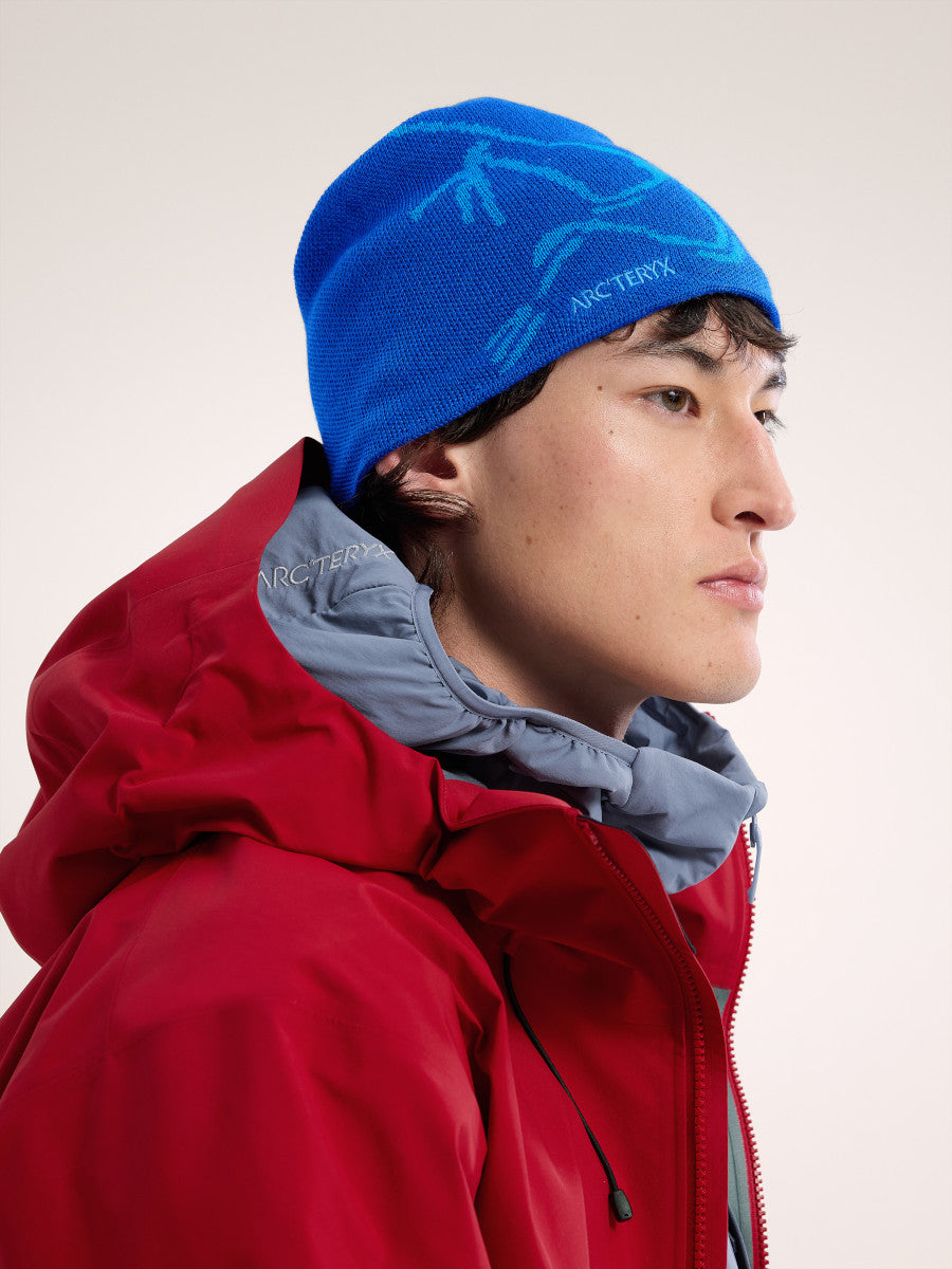 Arcteryx Bird Head Beanie