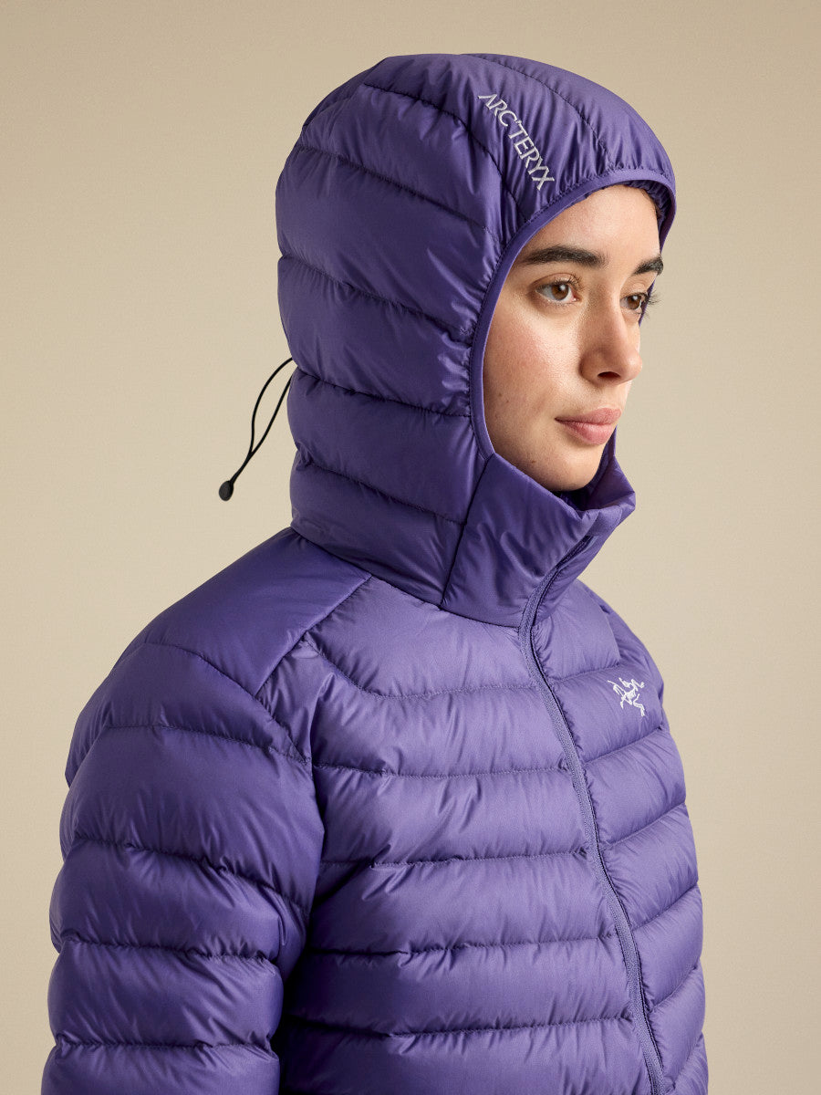 Arcteryx Womens Cerium Hoody