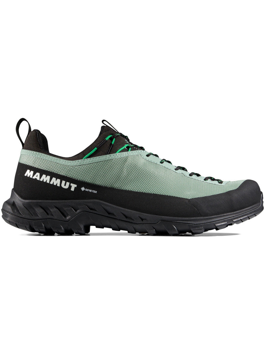 Mammut Alnasca IV Low GTX