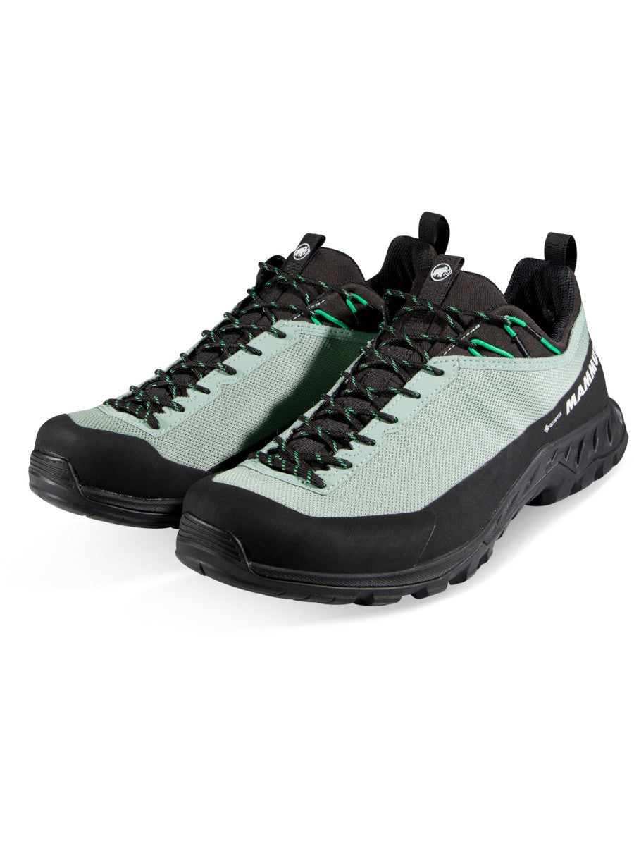 Mammut Alnasca IV Low GTX