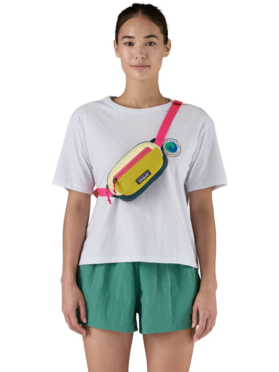 Patagonia Terravia Mini Hip Pack