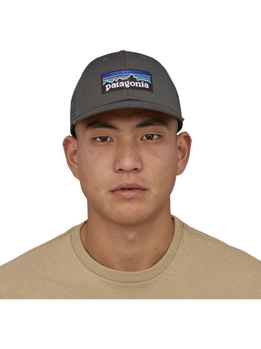 Patagonia P6 Logo LoPro Trucker Hat