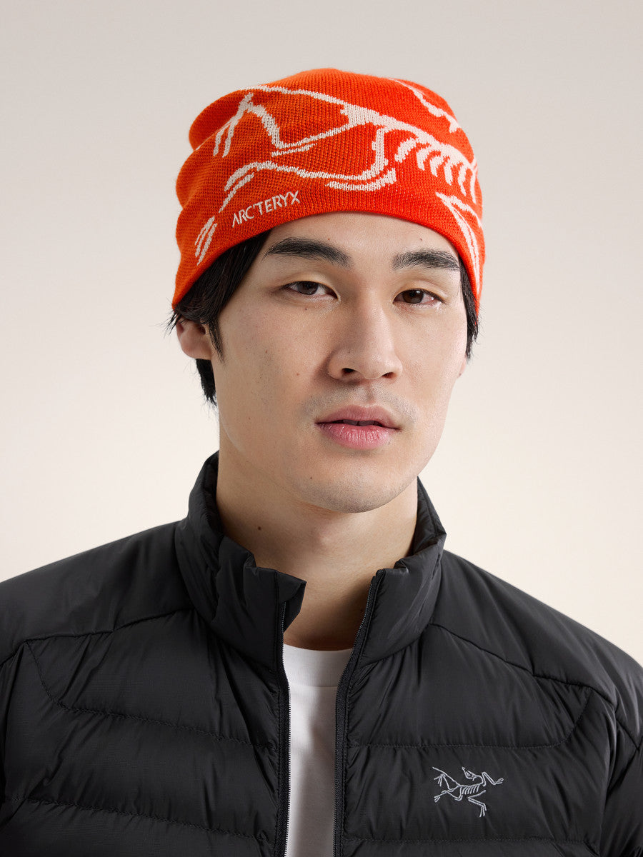 Arcteryx Bird Head Beanie