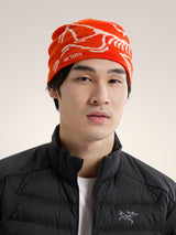 Arcteryx Bird Head Beanie