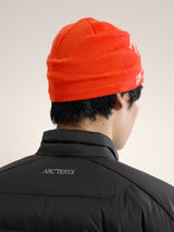 Arcteryx Bird Head Beanie