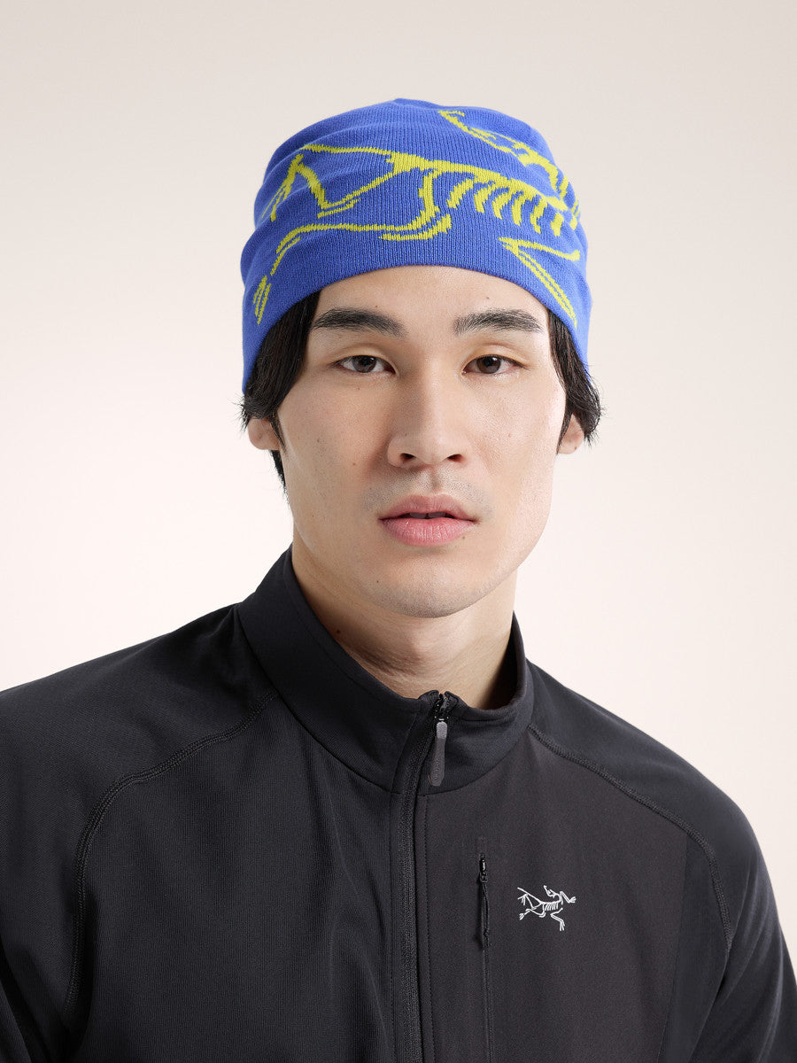 Arcteryx Lightweight Bird Head Beanie – Facewest.co.uk