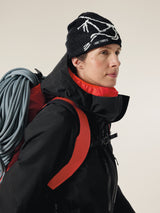 Arcteryx Bird Head Beanie