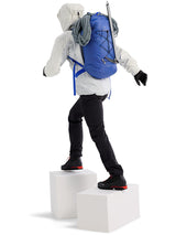 Arcteryx Alpha FL 30