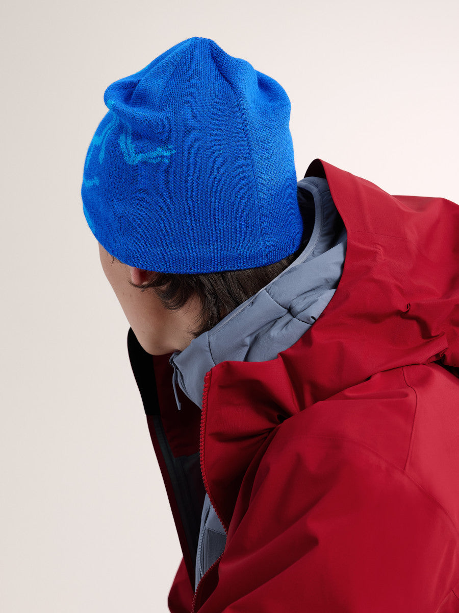Arcteryx Bird Head Beanie