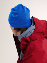 Arcteryx Bird Head Beanie