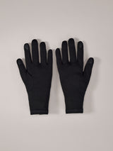 Arcteryx Gothic Glove