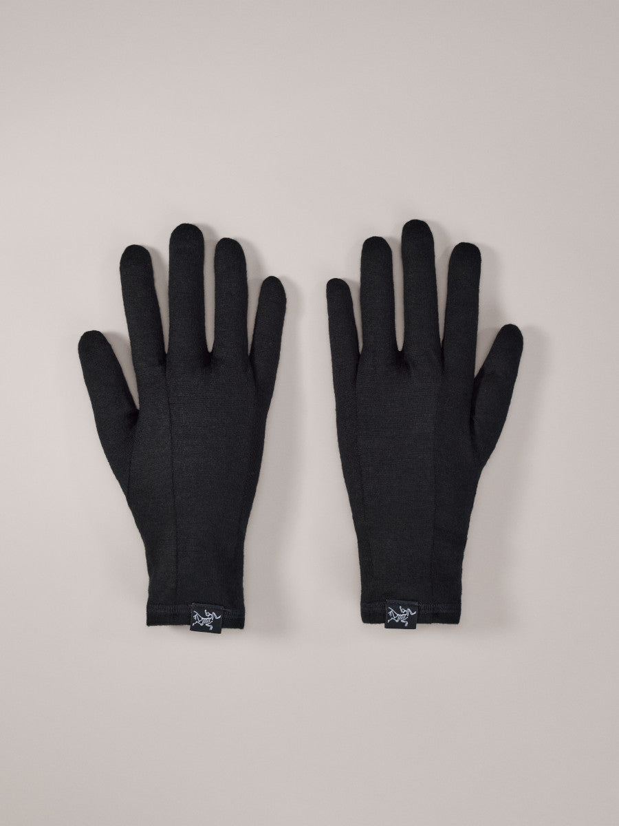 Arcteryx Gothic Glove