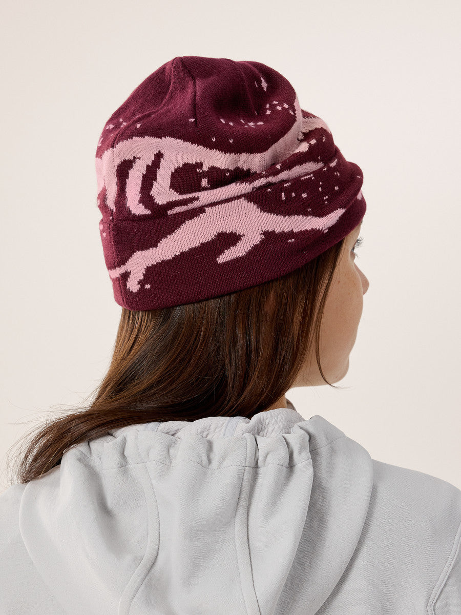 Arcteryx Grotto Beanie