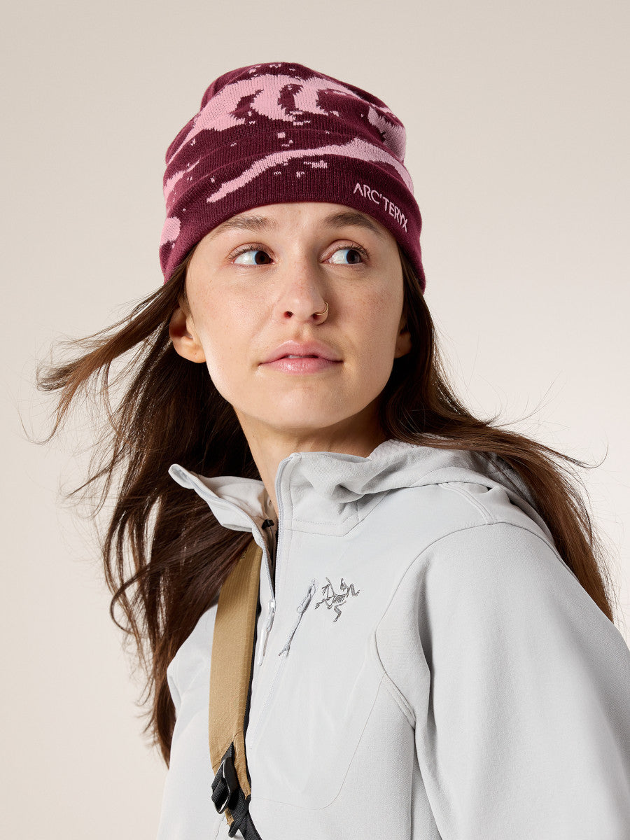 Arcteryx Grotto Beanie