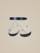 Arcteryx Alpha SL Harness