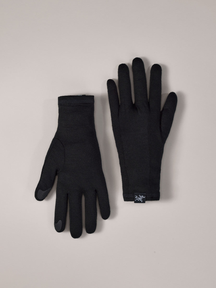 Arcteryx Gothic Glove