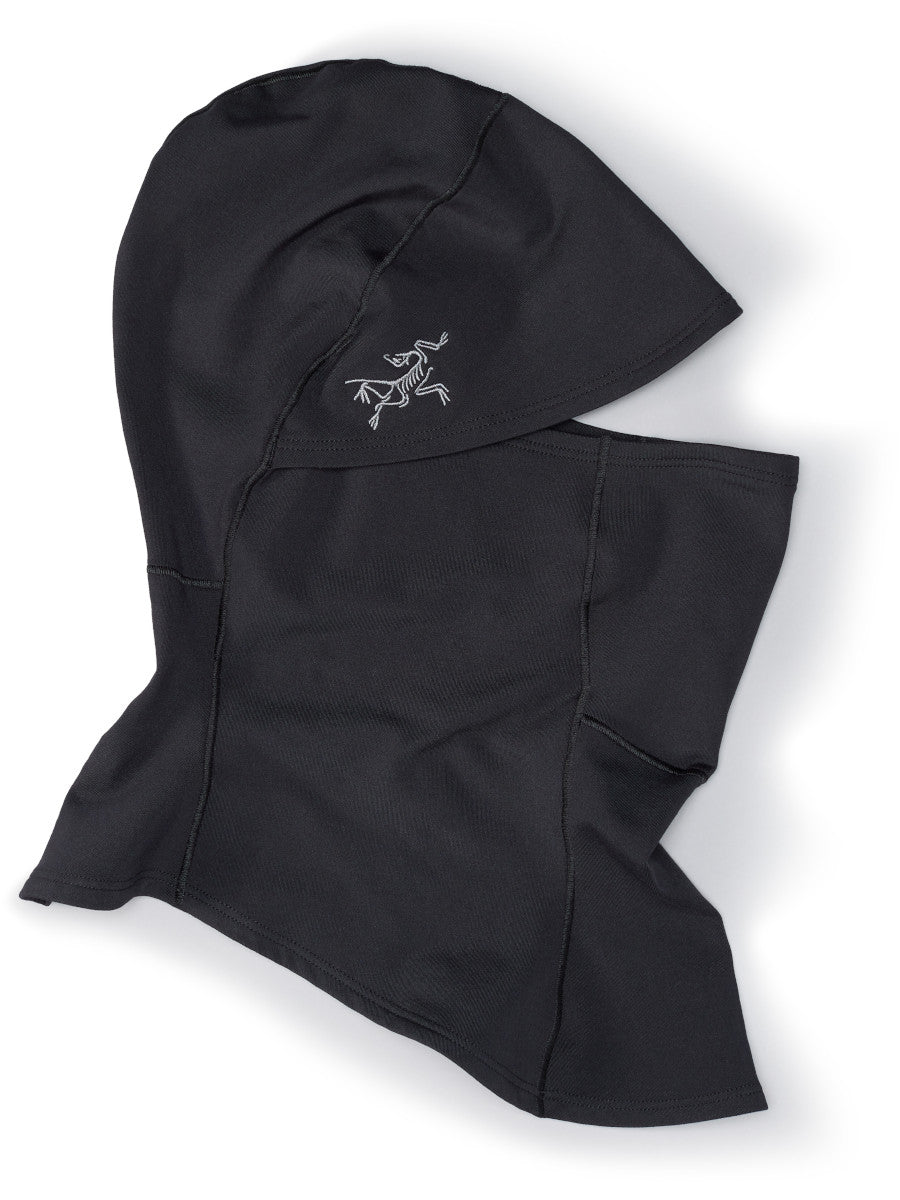 Arcteryx Rho Balaclava
