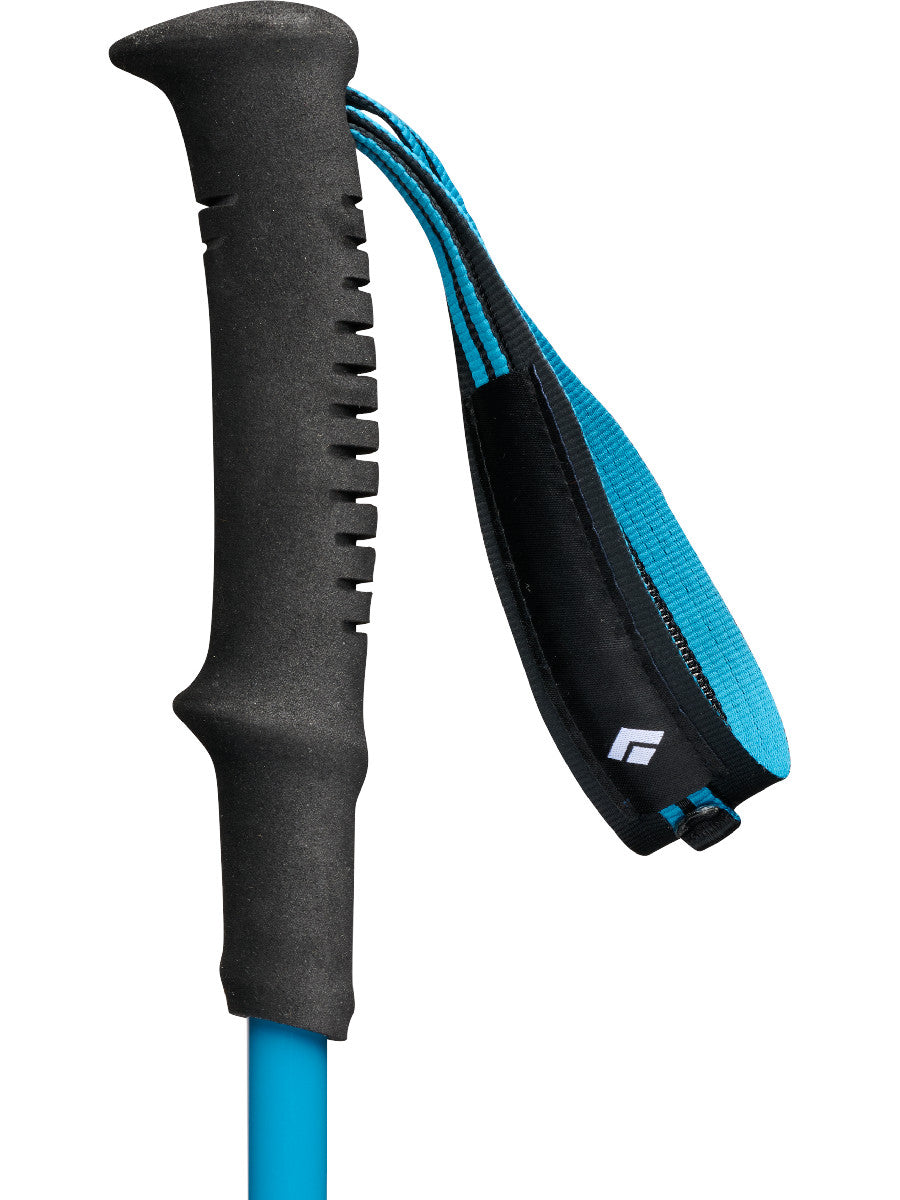 Black Diamond Distance Carbon FLZ Poles