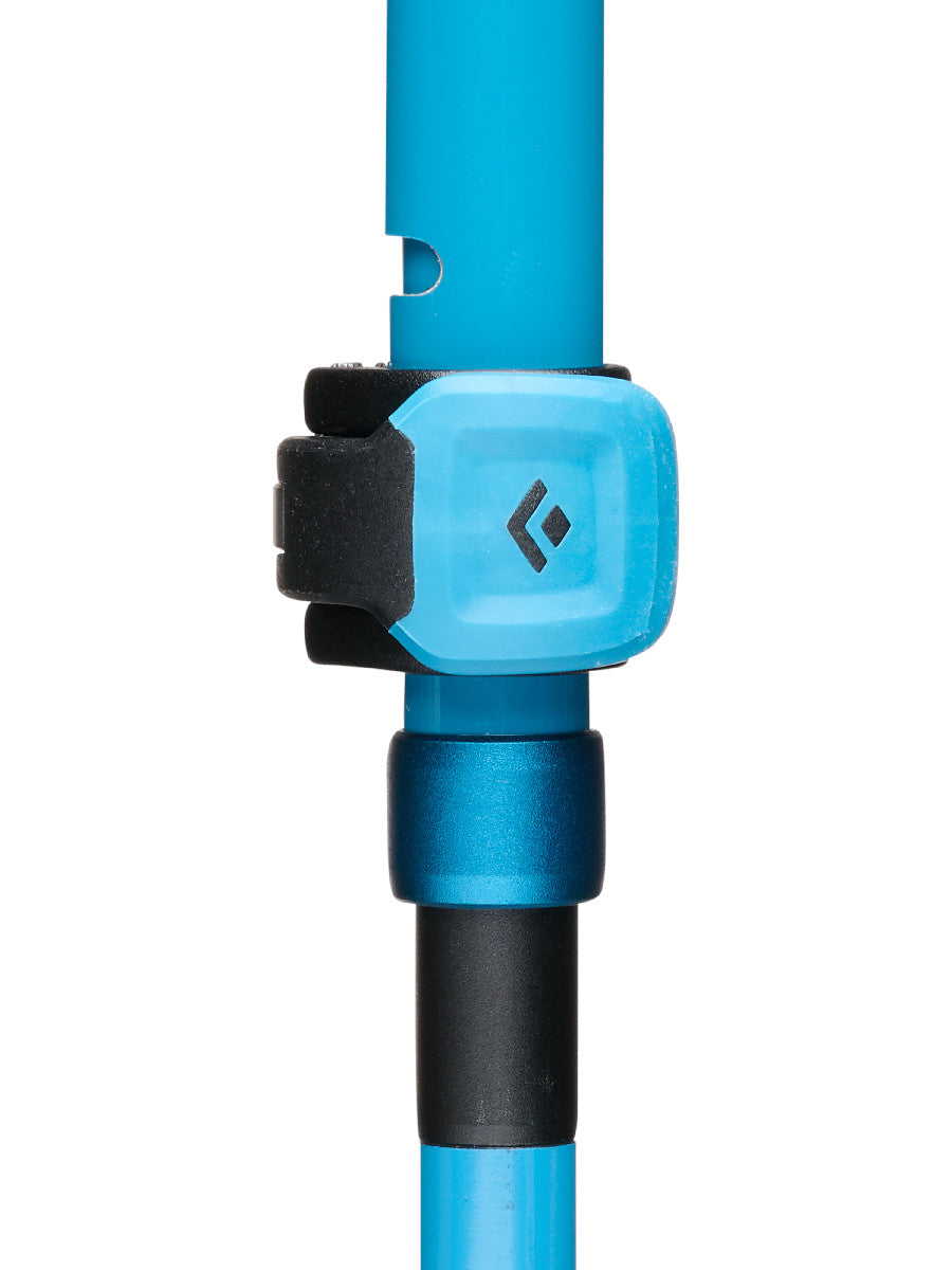Black Diamond Distance Carbon FLZ Poles