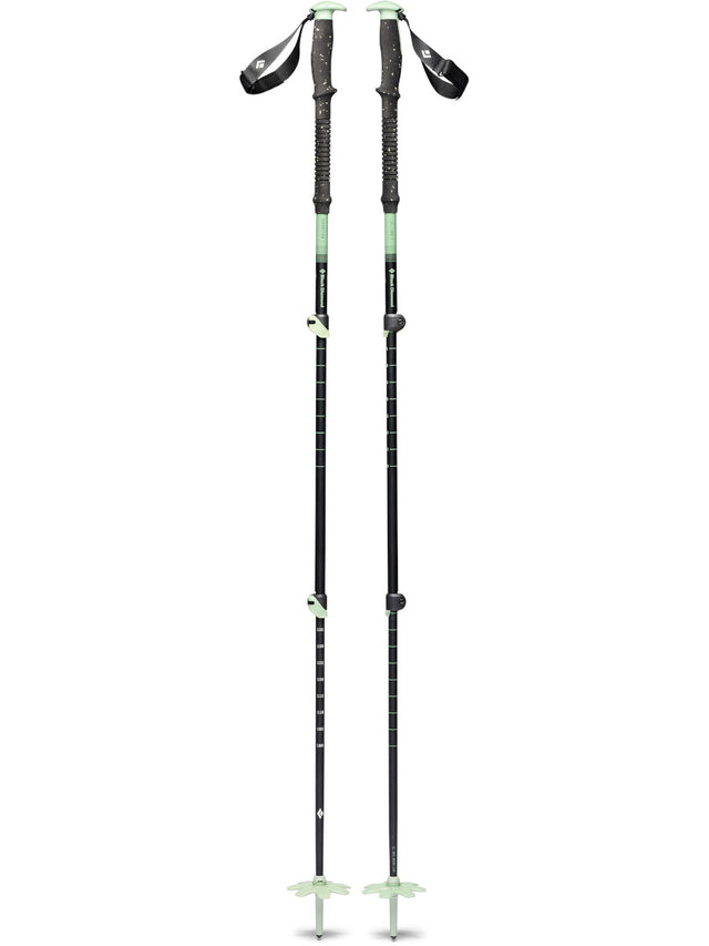 Black Diamond Expedition 3P Ski Poles 140cm