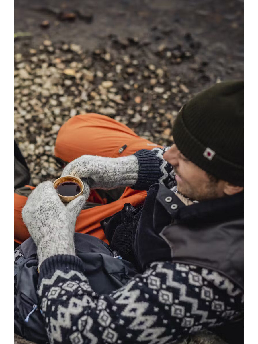 Hestra Wool Expedition Mitt