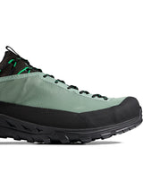 Mammut Alnasca IV Low GTX