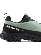 Mammut Alnasca IV Low GTX