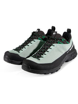 Mammut Alnasca IV Low GTX
