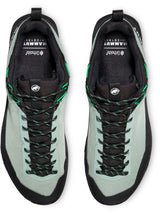 Mammut Alnasca IV Low GTX