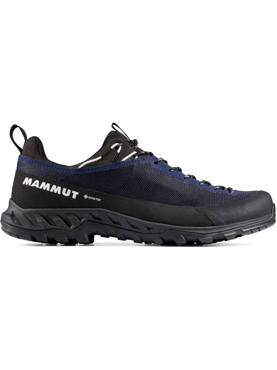 Mammut Alnasca IV Low GTX