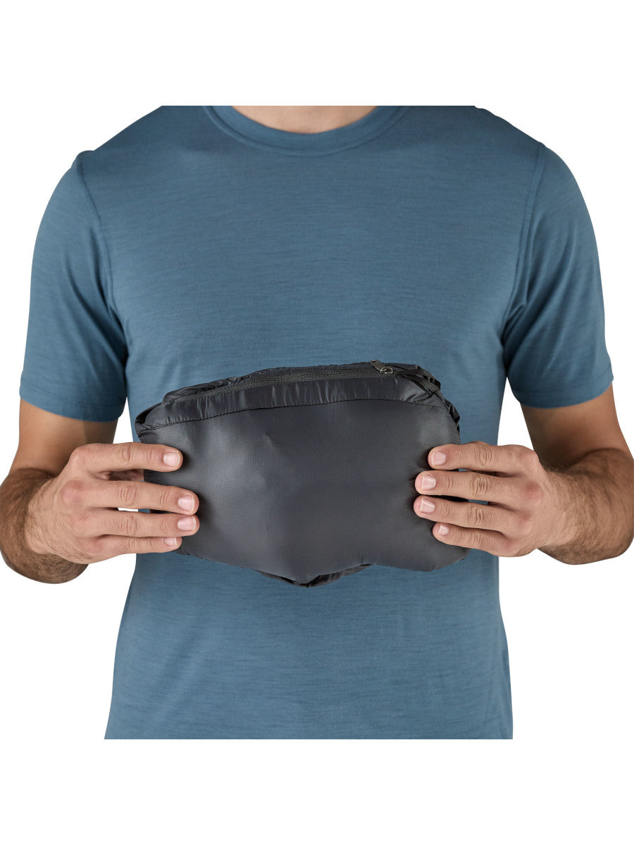 Patagonia Down Sweater Hoody