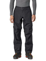 Patagonia Triolet Pants
