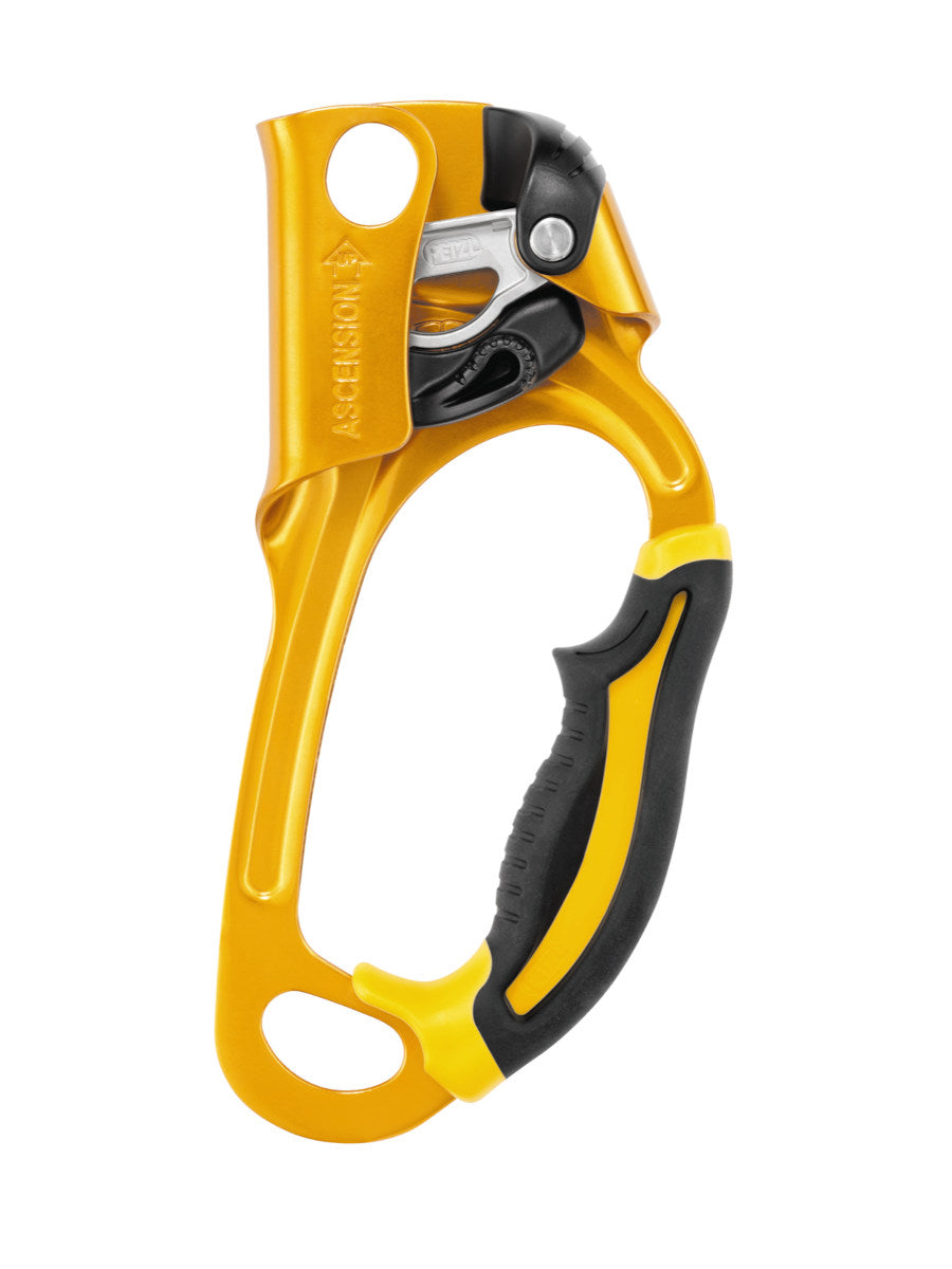 Petzl Ascension