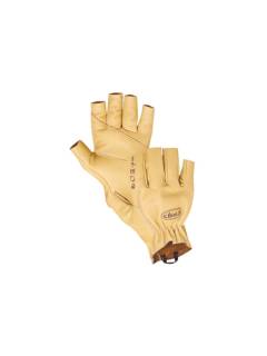 Beal Assure Gloves